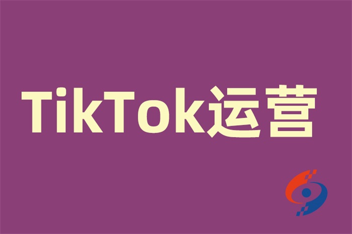 如何利用TikTok推广提升网站流量