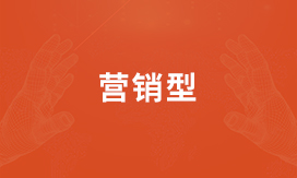  个性化定制设计营销型网站