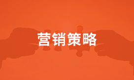  	成熟独到的网站策划方法论