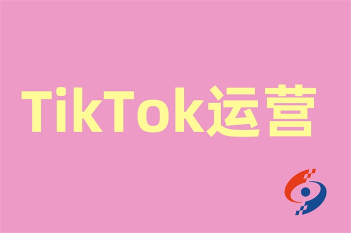 欧陆国际营销专家分享TikTok推广实战案例