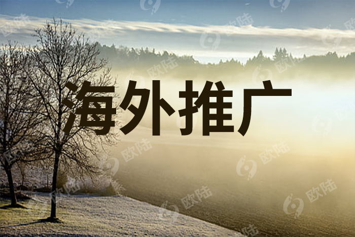 如何处理品牌出海过程中遇到的文化冲击问题