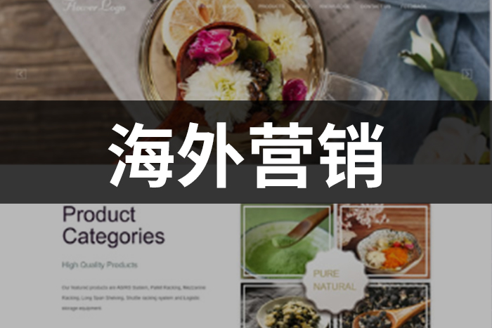 企业如何在外贸市场中寻找最佳的外贸营销策略