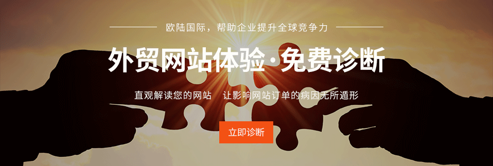  网站诊断